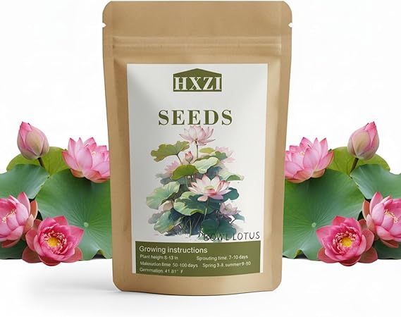 Lotus Flower Seeds, 32+ Bowl Lotus Seeds, Water Lily Seeds, Pink