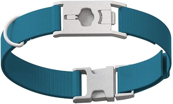 Whistle GO Explore Pet Collars - Twist & Go, Bolt Blue, Small