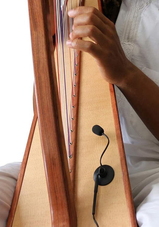 The Feather Concert Harp Microphone with Flexible Micro-Gooseneck