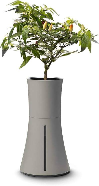 Botanium Hydroponic and Automatic Indoor Gardening Pot, Grey