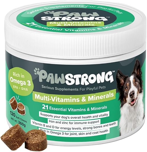 Multi-Vitamins & Minerals Soft Chew Dog Supplements – 21 Essential Nutrients for Daily Health, Energy, Joints, Skin & Coat with Omega 3 EPA & DHA – 120 Soft Chews