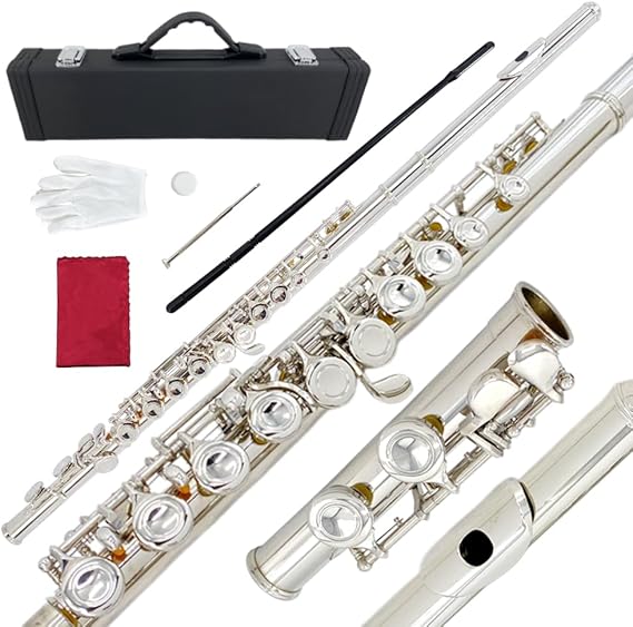 16 Key Closed Hole C Flute Instrument - Student Flute for Beginners, Easy to Play with Durable Design, Carrying Case, Cleaning Kit, Gloves, Perfect for Learning(Silver)