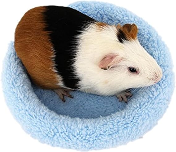 BWOGUE Hamster Bed,Round Velvet Warm Sleep Mat Pad for Hamster/Hedgehog/Squirrel/Guinea Pig/Rats and Other Small Animals