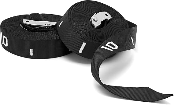 20ft Adjustable Gymnastic Rings Strap (Pair) / Cam Buckle Adjustment/Upper Body Ring Training
