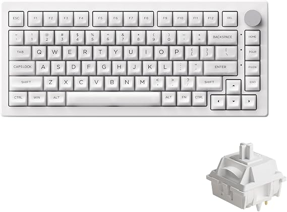 Akko 5075B Plus Shine Through Mechanical Keyboard 75% RGB Hot Swappable Clear Transparent Gaming Keyboard with Knob White PC ASA Profile Keycap V3 Piano Pro