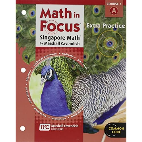Math in Focus: Singapore Math Extra Practice Book Grade 6 1st Edition