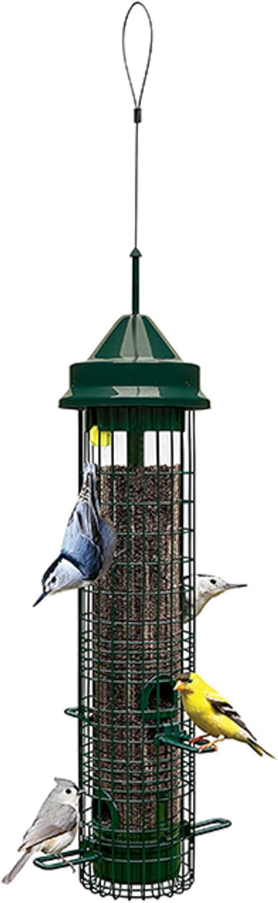 Squirrel Buster Classic Squirrel-proof Bird Feeder w/4 Feeding Ports, 2.4-pound Seed Capacity | Four feeding ports, weight-sensitive closure, seed ventilation, wire mesh for shared feeding