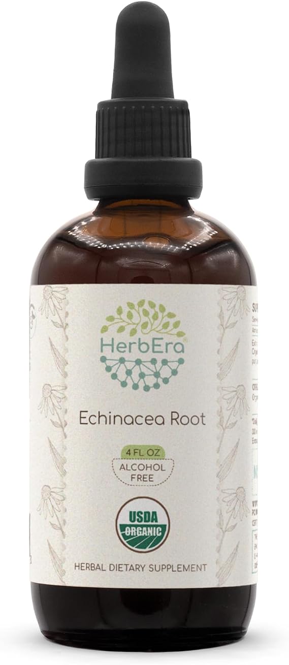 HerbEra Echinacea Root B120 USDA Organic Tincture | Alcohol-Free Extract, High-Potency Herbal Drops, Immune System Health | Certified Organic Echinacea Root (Echinacea Purpurea) Dried Root (4 fl oz)