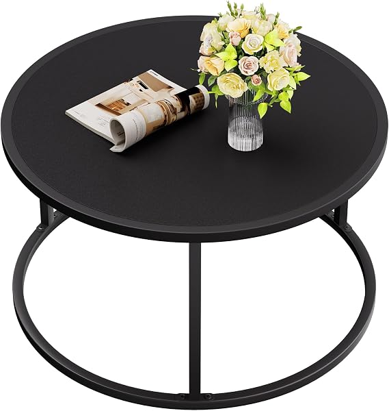 SAYGOER Small Round Coffee Table, Black Coffee Tables for Living Room, Modern Center Table for Small Space Home Office Gardern, 27.6 27.6 17.7inch, Black