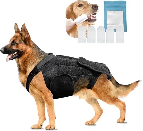 Dog Back Brace for Slipped Disc and Dog Arthritis Support, IVDD Dog Supplies, Dachshund Back Support, Back Brace for Dogs with Back Disease and IVDD [Includes 5 Dog Teeth Cleaning Wipes] (M)