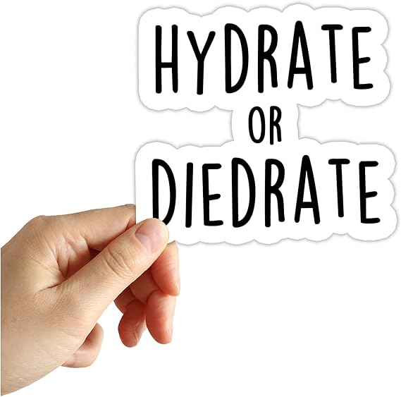 Hydrate or Diedrate Sticker Drink Water Funny Meme Stickers Water Bottle Phone Notebook Laptop Decals