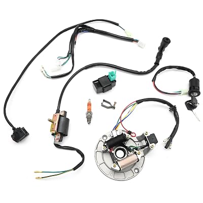 Kick Starter Engine Wiring Harness Kit, Replacement for X50 CRF50 70cc 110cc 125cc 140cc 150cc Pit Dirt Trail Pro Bike, Replacement for YX Replacement for Lifan