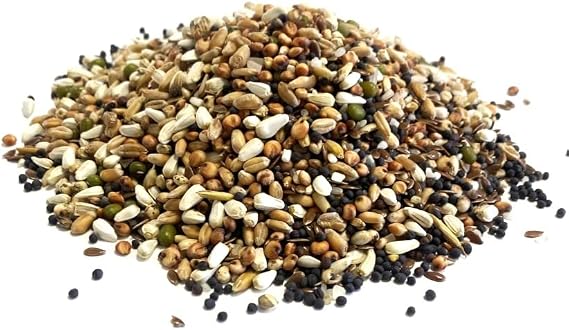 200g Pigeon Condition Seed Mixed Bird Food SLJ