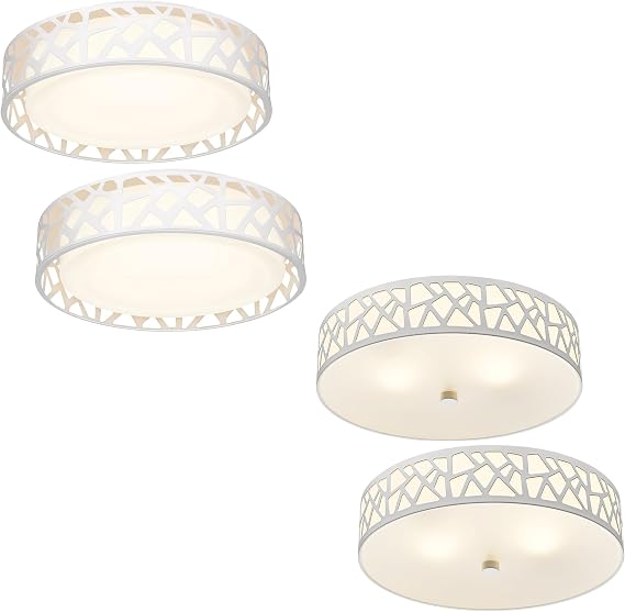 2Pack12inch White LED Flush Mount Ceiling Light and 2-Lights Flush Mount Ceiling Light,ETL Listed for Kitchen, Hallway, Bedroom