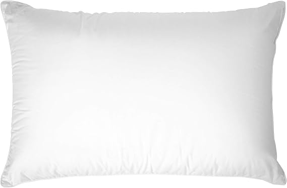 Down Dreams Classic Pillow King Firm Hampton Inn by Hilton Hotels Set of 2 with BBH Pillow Protectors