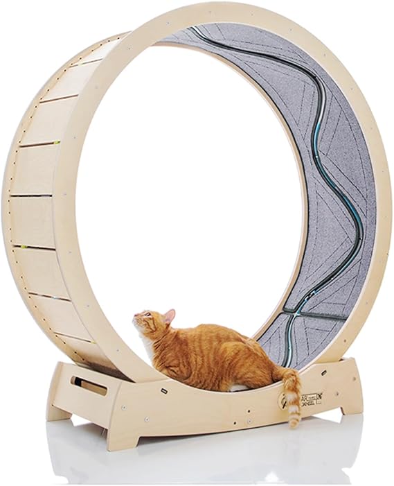 STAR CATWHEEL Cat Treadmill, Exercise Wheel for Running, Spinning, Scratching, and Climbing for Indoor Cats, Premium Birch Wood, Eco-Friendly, Moving Fish, Wide Running Track, 47.2 inch XL Size