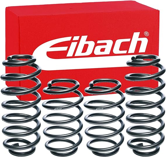 Eibach E10-25-019-02-22 Performance Pro-Kit Springs