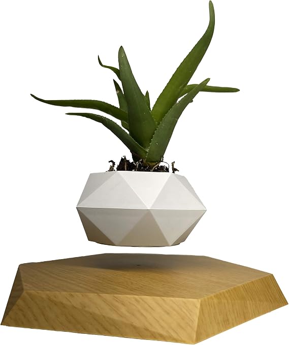 Authentic Levitating Floating Plant Pot for Air Plants, Magnetic Levitation Suspension Floating Pot, Bonsai Pot, Levitating Plant Pot, Rotating Plant Pot Timani