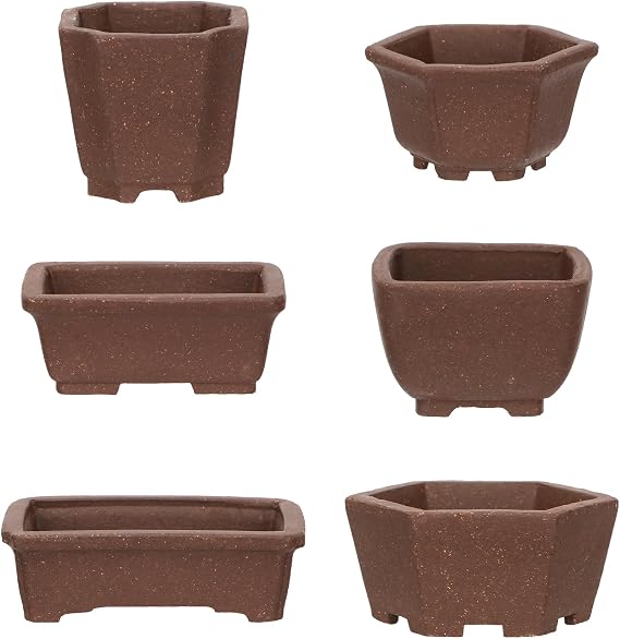 Happy Bonsai 6 pc Unglazed Planter Pots Mini Succulent 2" (5 cm) Natural Color