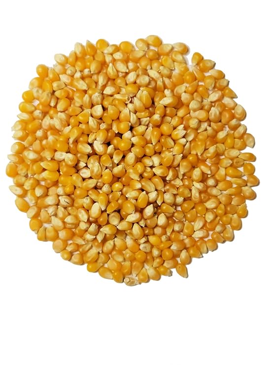 Organic Popcorn Kernels unpopped Non-GMO, Vegan Bulk Raw (25 lb)