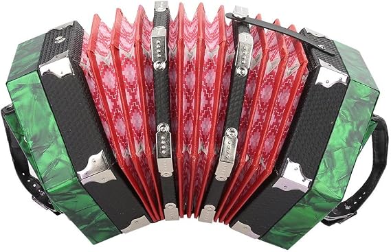 Accordion, Professional 20 Button Accordion Concertina for Kids/Adults, Musical Instrument Accessories /141/1599