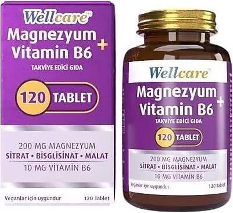 Wellcare Magnesium Vitamin B6 120 Table