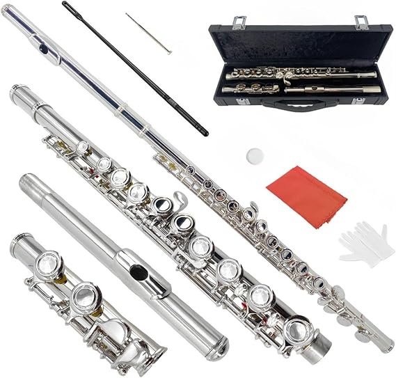 16-Key Flute, C Flute Instrument Closed Holes for Beginners, with Includes Case, Cleaning Kit, and Gloves (Silver)