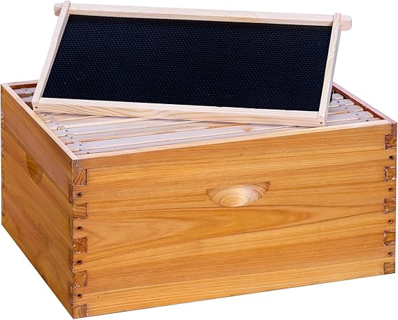 POLLIBEE 10 Frame Beehive Box, Langstoth Deep Brood Box Sections of Wood for Beehives, Bee Box Dipped in Heavy Beeswax Includes Wooden Beehive Frames & Waxed Foundations (Unassembled)
