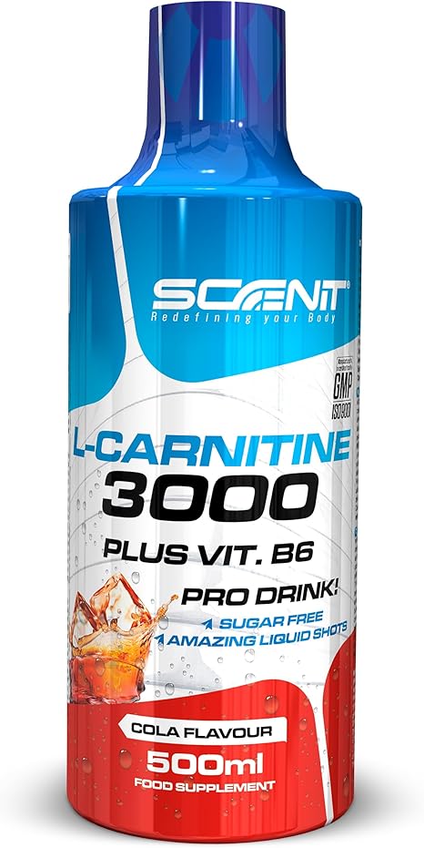 L Carnitine Liquid - L Carnitine 3000 - L-Carnitine Liquid - L-Carnitine Highly Dosed - L Carnitine 3000 mg (500 ml) (Cola)