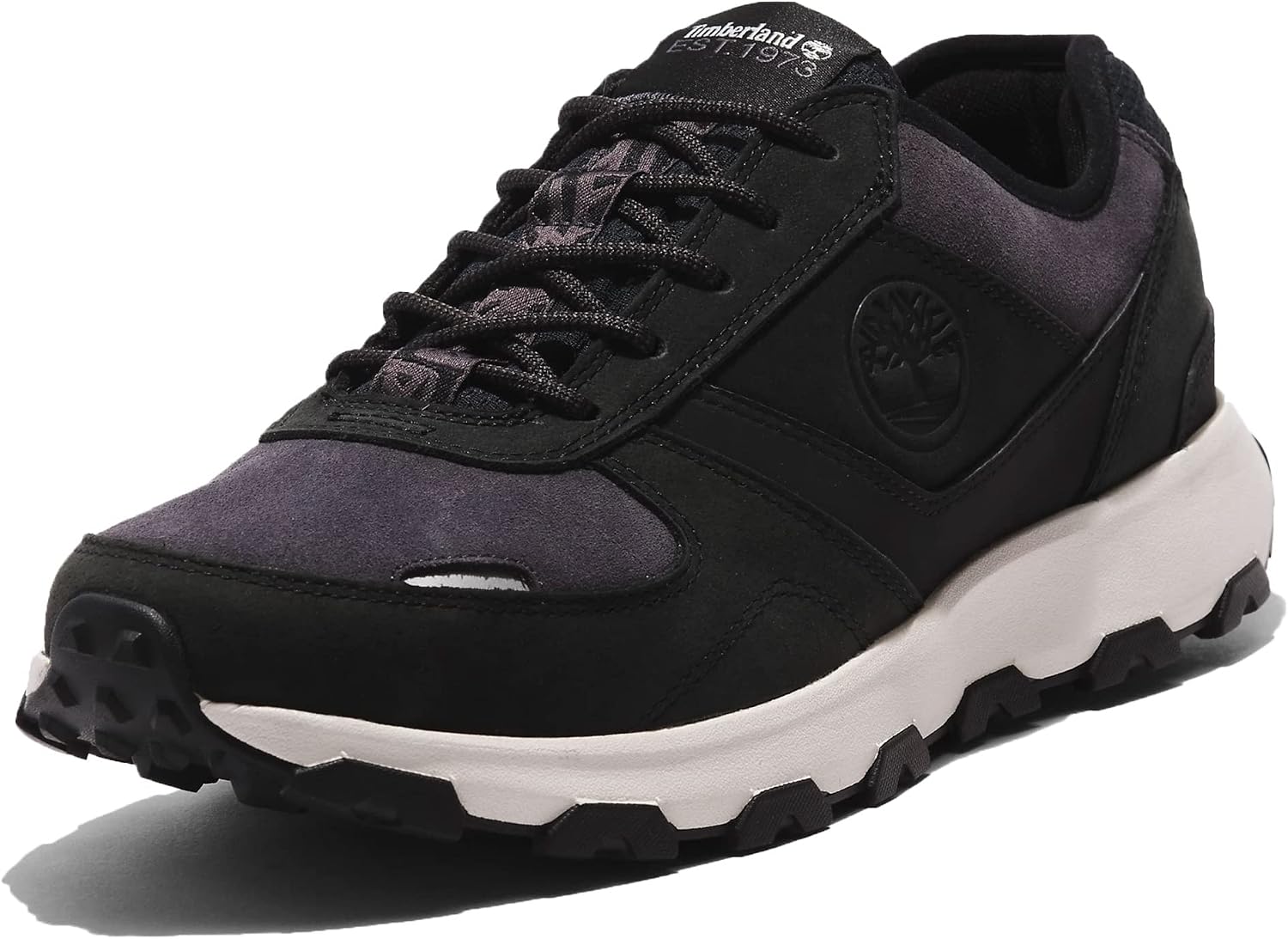Timberland Erkek Winsor Park Ox Sneaker, siyah, 43.5 EU