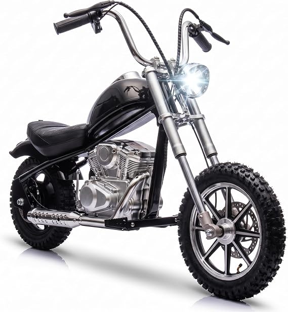 Kids Electric Dirt Bike,Electric-Bike with 36v300w,UP to 16MPH,Headlight,Mountain Off-Road for Kids (Black)