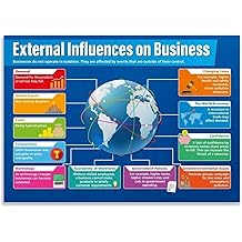 IDGTTLDF External Business Factors, Educational Wall Decor for Classroom, Laminated Chart on Market Forces for Economics Students(Framed,08x12inch(20x30cm))