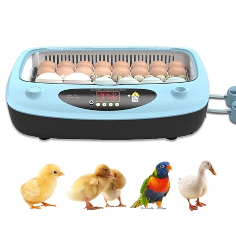 Egg Incubator for Egg Hatching Egg Incubator Automatic Egg Around Humidity Control for Chicken, Duck and Quail 24 Eggs Hatchable