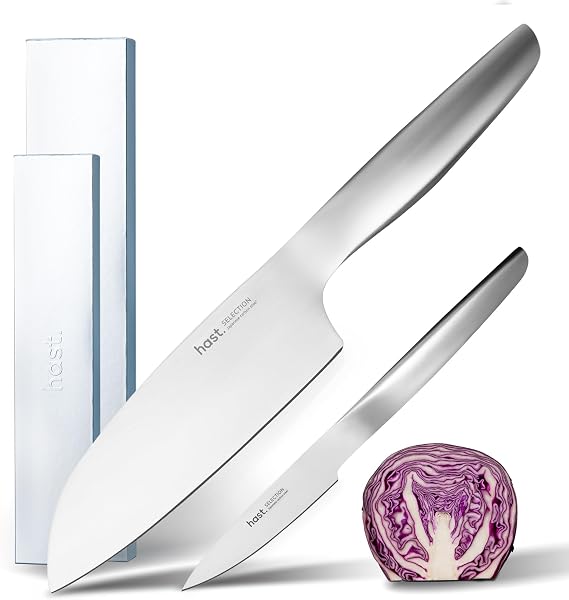 HAST 2-Piece Santoku Knife Set, Ultra-Sharp Professional Knife Set, Japanese Carbon Steel, Lightweight, Ergonomic & Award-Winning Design, Sleek Stainless Steel Essential Kitchen Knife Set