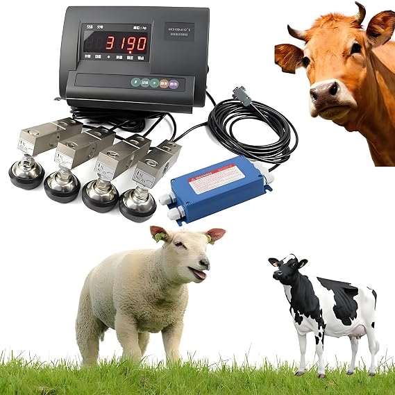 High Precision Waterproof Floor Scale，Maximum Load 5000kg，High Precision LCD Backlight Display Weighting Indicator for Animal Cattle Goat Pigs Horse Sheep 1000kg