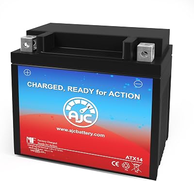 AJC Battery Compatible with Yamaha XJ900S Diversion 900CC Motorcycle Battery 1995-2002