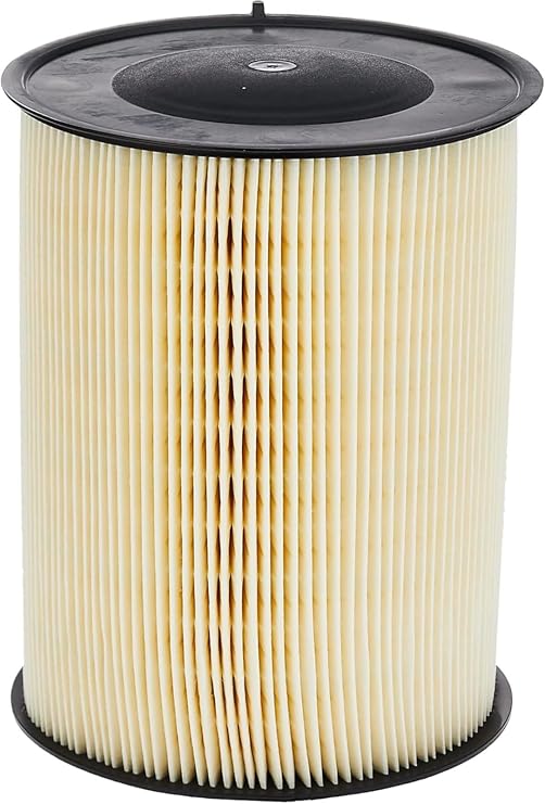 Motorcraft - Element Asy - Air Cleaner (FA1908)