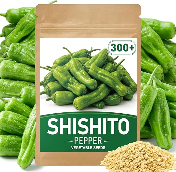 300+ Japanese Shishito Pepper Seeds for Planting, High Germination