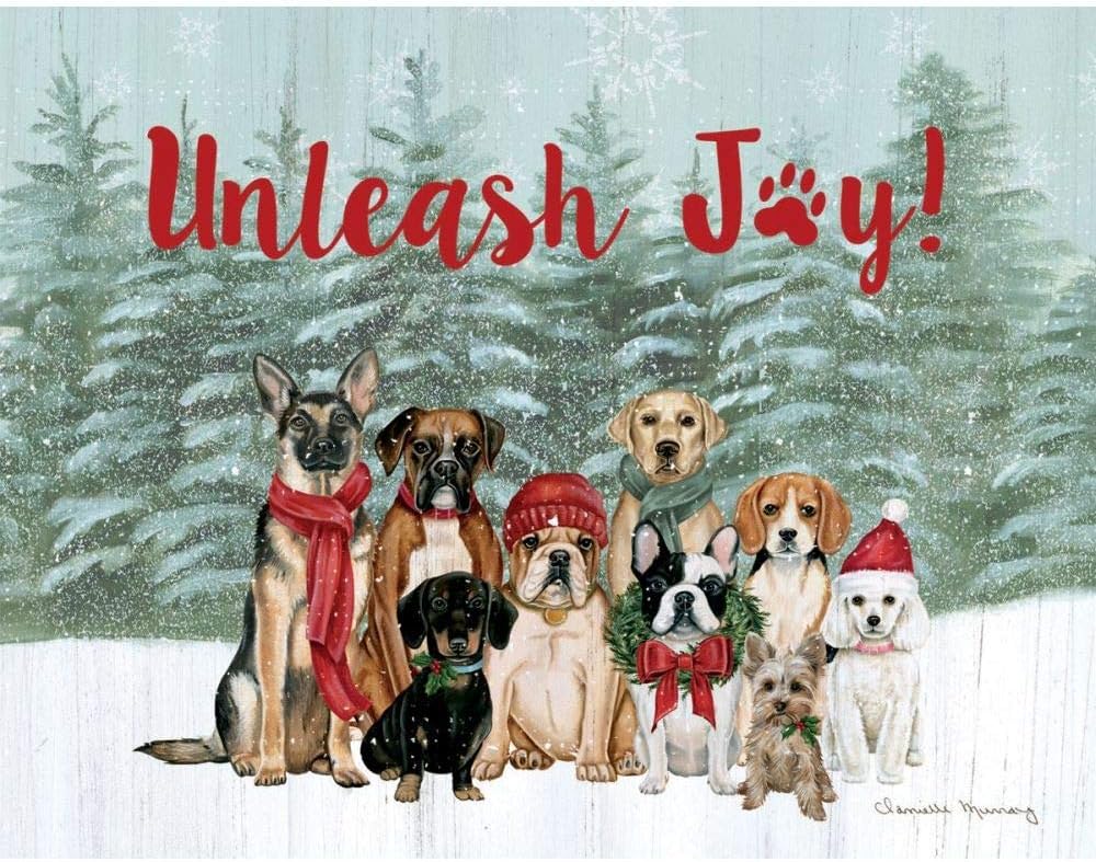 LANG Unleash Joy Boxed Christmas Cards 1004843