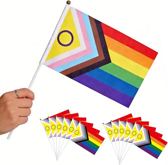12 Pack Small Handheld Progress Pride Flags, 14 x 21 cm Double-Sided Mini LGBTQ Flags on Sticks, Rainbow Gay Pride Decorations for Outdoor Parades, LGBTQ+ Party, Celebrations, Events