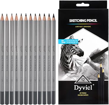 Dyvicl Professional Drawing Sketching Pencil Set - 12 Pieces Drawing Pencils 10B, 8B, 6B, 5B, 4B, 3B, 2B, B, HB, 2H, 4H, 6H Graphite Pencils for Kids, Beginners, Pro Artists