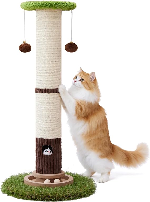 Woochpet 34" Tall Cat Scratching Posts,Heavy Duty and Thicker Cat Scratcher