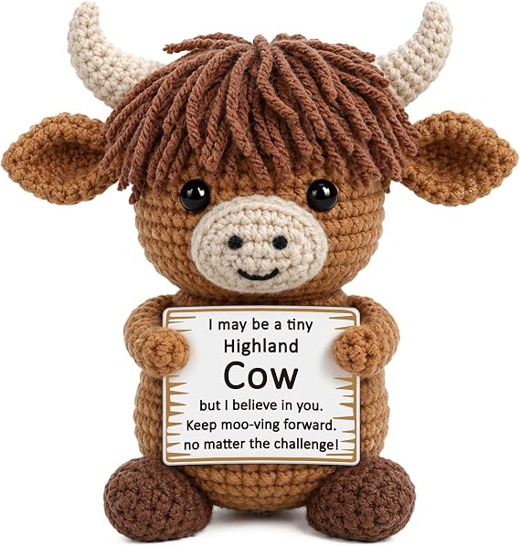 Xinezaa Highland Cow Birthday Gifts for Women Men, Emotional Inspirational Support Gifts for Friend Coworker Sister Bestie Son Brothers, Cute Small Back to School, Positive Crochet Highland Cow Decor