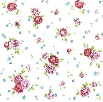 Napkins - White and Rose' for ASIN 'B004O53ADQ