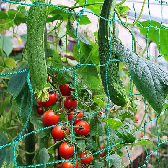 Trellis Thickening Plant Net with Large Mesh Width Trellis Net for Climbing Plants Cucumbers Tomatoes and Other Vegetable Plants Greenhouse Accessories - 2 m x 2.5 m