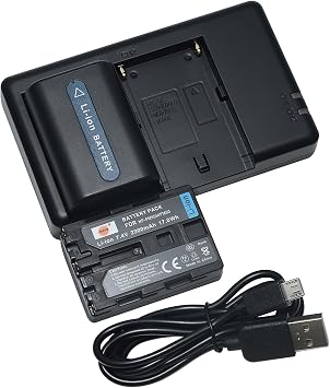 DSTE 2 Pack NP-FM50 Battery + Rapid Dual USB Charger Compatible with Sony CCD-FRV DCR-PC DCR-TRV DCR-DVD DSR-PDX GV HVL Series Camera NP-FM30 NP-FM51 QM50 QM51 FM55H