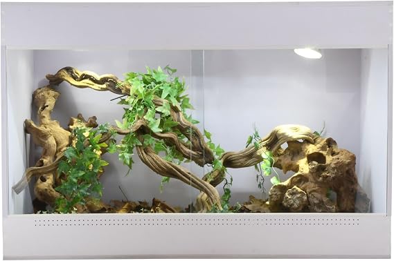 Lucky Reptile IsoTarrium Basic Terrarienmaße (B/T/H):80 x 50 x 50 cm