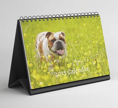 Bulldog Desk Calendar 2025-2026: Standing Flip Desktop Calendar with Thick Paper 15.25cm x 22cm - similar to A5