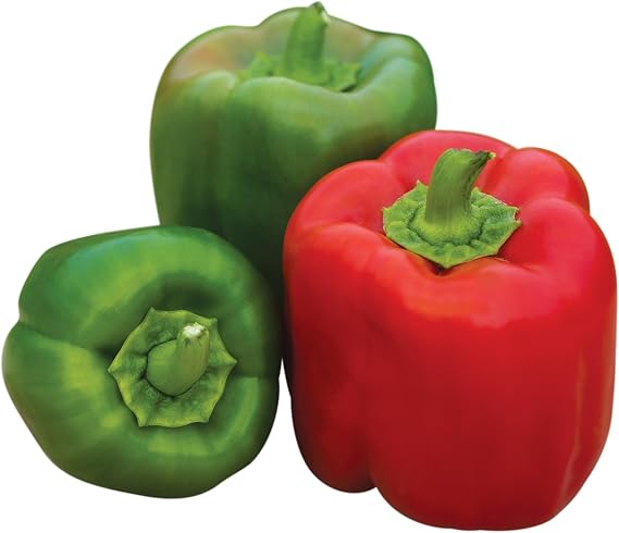 Burpee Sweet Candy Apple Hybrid Bell Pepper Seeds Sweet Red Pepper Seeds for Home Garden Growing