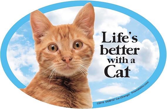 Cat and Dog Magnets, Cat, Orange | Strong Magnet For Cars Or Fridges Featuring Orange Cat Design With Bright Colors, 1 Pack